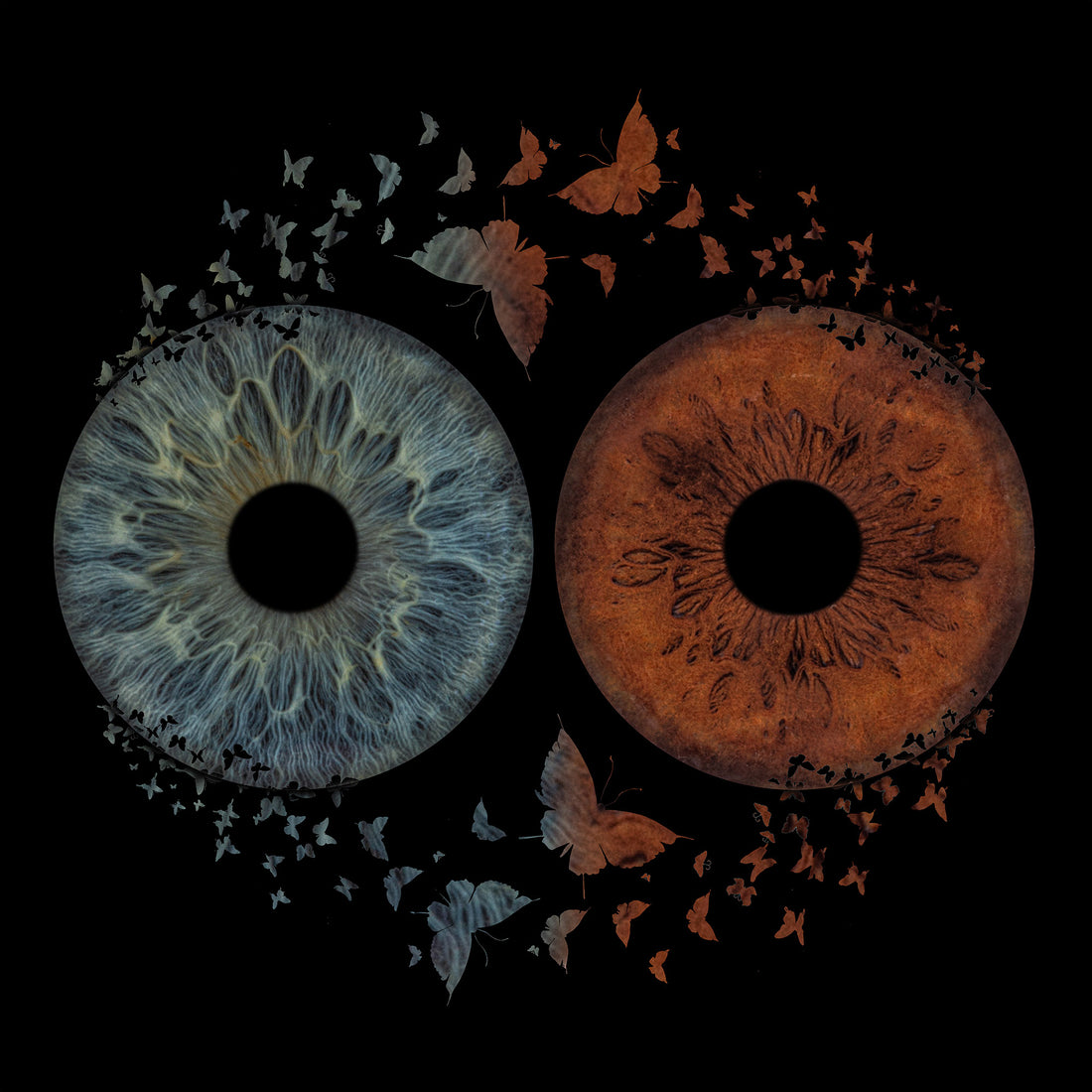 The Meaningful Gift: Why Personalized Iris Art is the Perfect Present