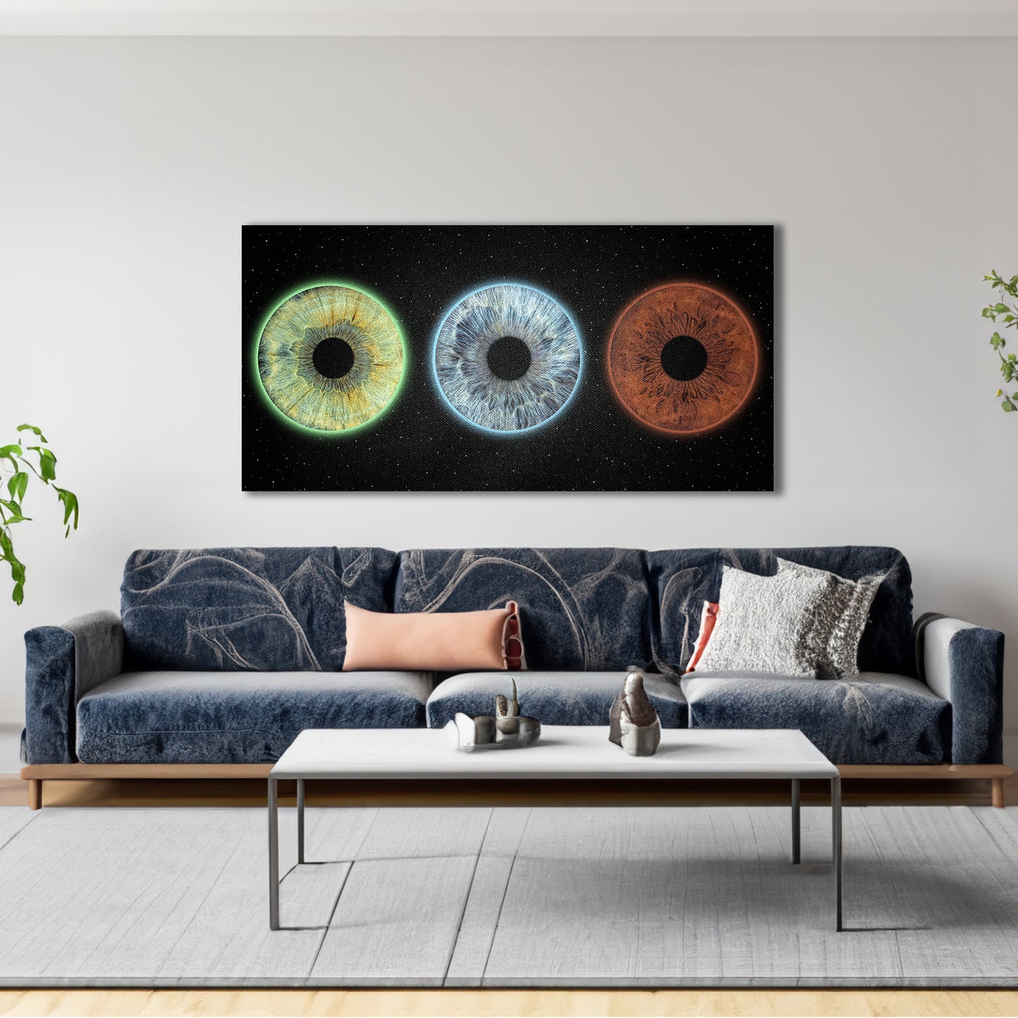 CANVAS - Universum